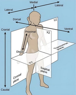 Original FB article image Original FB article image